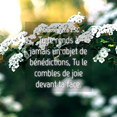 Picture 04 - Psaumes 21:6 LSG - Tu le rends à jamais un objet de bénédictions, - Bible Verse Picture