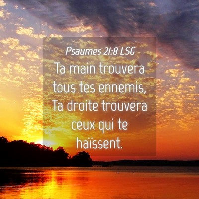 Picture 04 - Psaumes 21:8 LSG - Ta main trouvera tous tes ennemis, Ta droite - Bible Verse Picture
