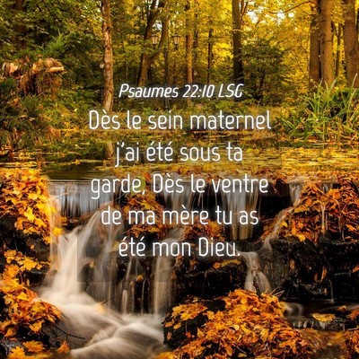 Picture 04 - Psaumes 22:10 LSG - Dès le sein maternel j'ai été sous ta garde, - Bible Verse Picture