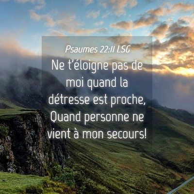 Picture 04 - Psaumes 22:11 LSG - Ne t'éloigne pas de moi quand la détresse est - Bible Verse Picture