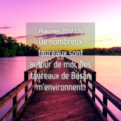 Picture 04 - Psaumes 22:12 LSG - De nombreux taureaux sont autour de moi, Des - Bible Verse Picture
