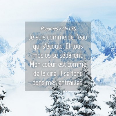 Picture 04 - Psaumes 22:14 LSG - Je suis comme de l'eau qui s'écoule, Et tous mes - Bible Verse Picture
