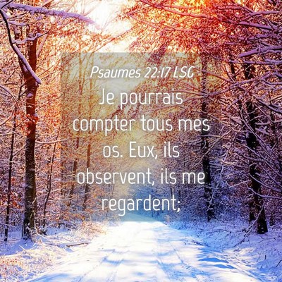 Picture 04 - Psaumes 22:17 LSG - Je pourrais compter tous mes os. Eux, ils - Bible Verse Picture