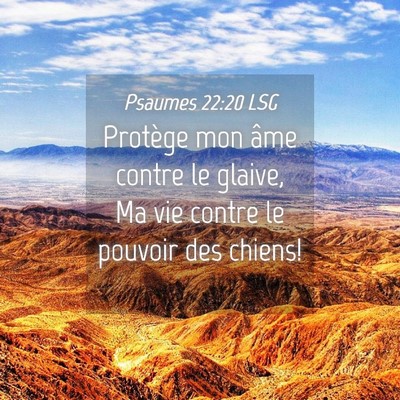 Picture 04 - Psaumes 22:20 LSG - Protège mon âme contre le glaive, Ma vie contre - Bible Verse Picture