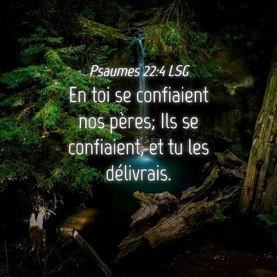 Picture 04 - Psaumes 22:4 LSG - En toi se confiaient nos pères; Ils se - Bible Verse Picture
