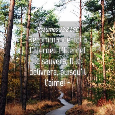 Picture 04 - Psaumes 22:8 LSG - Recommande-toi à l'Eternel! L'Eternel le - Bible Verse Picture