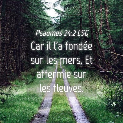 Picture 04 - Psaumes 24:2 LSG - Car il l'a fondée sur les mers, Et affermie sur - Bible Verse Picture