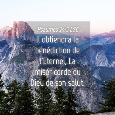 Picture 04 - Psaumes 24:5 LSG - Il obtiendra la bénédiction de l'Eternel, La - Bible Verse Picture