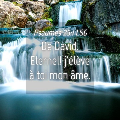 Picture 04 - Psaumes 25:1 LSG - De David. Eternel! j'élève à toi mon - Bible Verse Picture