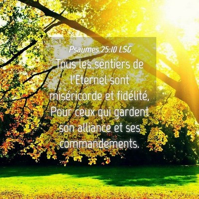 Picture 04 - Psaumes 25:10 LSG - Tous les sentiers de l'Eternel sont miséricorde - Bible Verse Picture