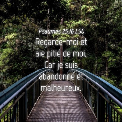 Picture 04 - Psaumes 25:16 LSG - Regarde-moi et aie pitié de moi, Car je suis - Bible Verse Picture