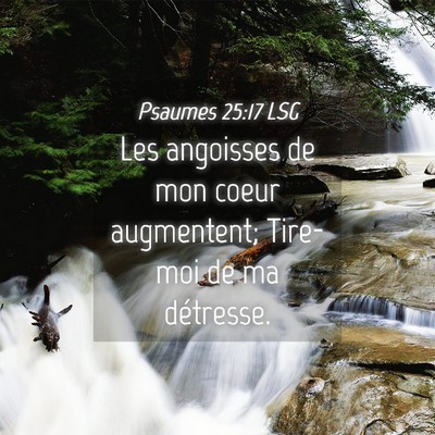 Picture 04 - Psaumes 25:17 LSG - Les angoisses de mon coeur augmentent; Tire-moi - Bible Verse Picture