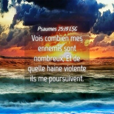 Picture 04 - Psaumes 25:19 LSG - Vois combien mes ennemis sont nombreux, Et de - Bible Verse Picture