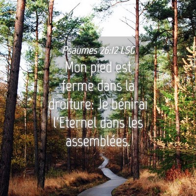 Picture 04 - Psaumes 26:12 LSG - Mon pied est ferme dans la droiture: Je bénirai - Bible Verse Picture