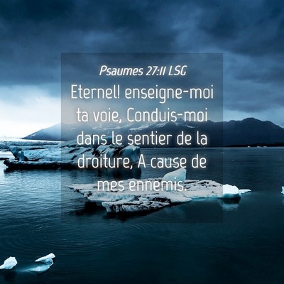Picture 04 - Psaumes 27:11 LSG - Eternel! enseigne-moi ta voie, Conduis-moi dans - Bible Verse Picture