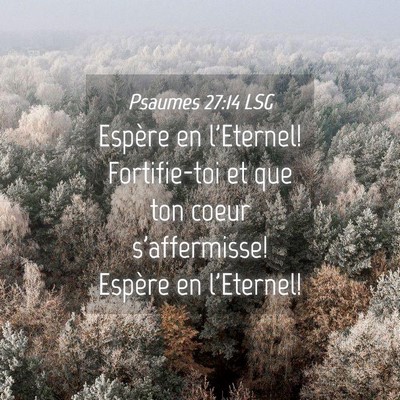 Picture 04 - Psaumes 27:14 LSG - Espère en l'Eternel! Fortifie-toi et que ton - Bible Verse Picture