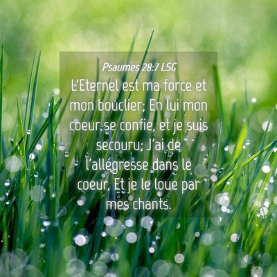 Picture 04 - Psaumes 28:7 LSG - L'Eternel est ma force et mon bouclier; En lui - Bible Verse Picture