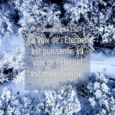 Picture 04 - Psaumes 29:4 LSG - La voix de l'Eternel est puissante, La voix de - Bible Verse Picture