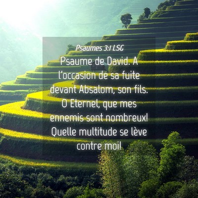 Picture 04 - Psaumes 3:1 LSG - Psaume de David. A l'occasion de sa fuite devant - Bible Verse Picture