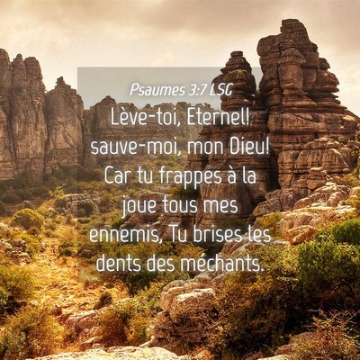 Picture 04 - Psaumes 3:7 LSG - Lève-toi, Eternel! sauve-moi, mon Dieu! Car tu - Bible Verse Picture