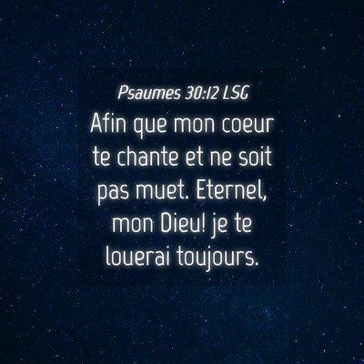 Picture 04 - Psaumes 30:12 LSG - Afin que mon coeur te chante et ne soit pas muet. - Bible Verse Picture