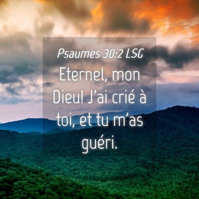 Picture 04 - Psaumes 30:2 LSG - Eternel, mon Dieu! J'ai crié à toi, et tu m'as - Bible Verse Picture