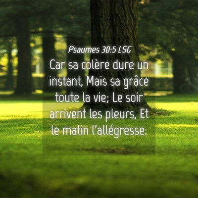 Picture 04 - Psaumes 30:5 LSG - Car sa colère dure un instant, Mais sa grâce - Bible Verse Picture