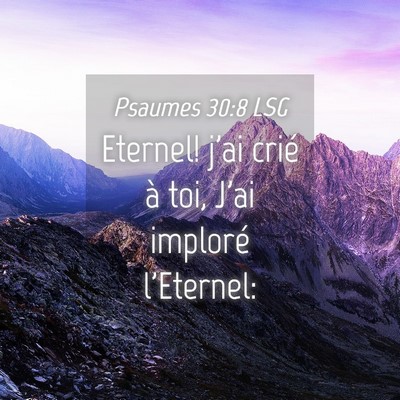 Picture 04 - Psaumes 30:8 LSG - Eternel! j'ai crié à toi, J'ai imploré - Bible Verse Picture