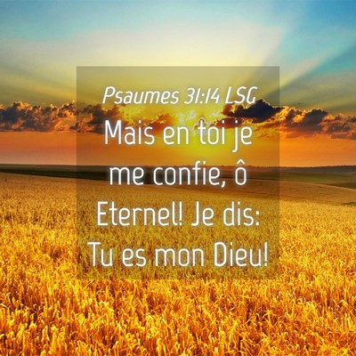 Picture 04 - Psaumes 31:14 LSG - Mais en toi je me confie, ô Eternel! Je dis: Tu - Bible Verse Picture