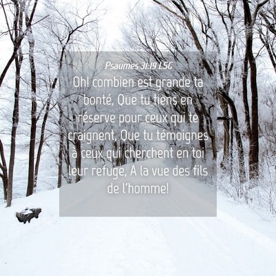 Picture 04 - Psaumes 31:19 LSG - Oh! combien est grande ta bonté, Que tu tiens en - Bible Verse Picture