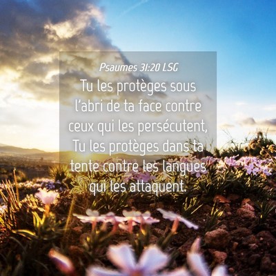 Picture 04 - Psaumes 31:20 LSG - Tu les protèges sous l'abri de ta face contre - Bible Verse Picture