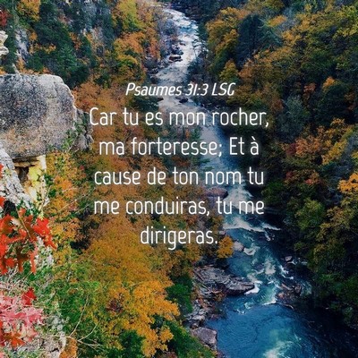 Picture 04 - Psaumes 31:3 LSG - Car tu es mon rocher, ma forteresse; Et à cause - Bible Verse Picture