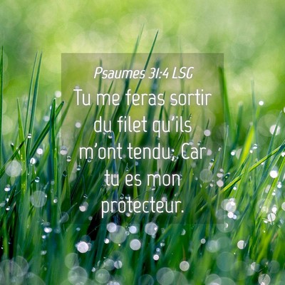 Picture 04 - Psaumes 31:4 LSG - Tu me feras sortir du filet qu'ils m'ont tendu; - Bible Verse Picture