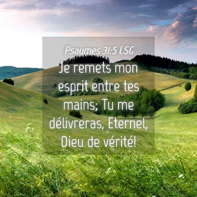 Picture 04 - Psaumes 31:5 LSG - Je remets mon esprit entre tes mains; Tu me - Bible Verse Picture