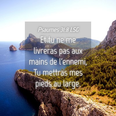 Picture 04 - Psaumes 31:8 LSG - Et tu ne me livreras pas aux mains de l'ennemi, - Bible Verse Picture