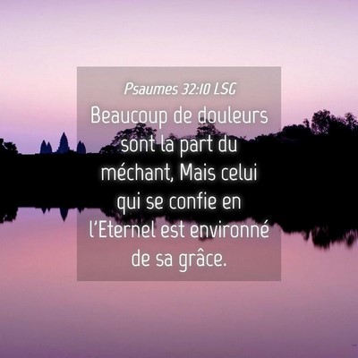 Picture 04 - Psaumes 32:10 LSG - Beaucoup de douleurs sont la part du méchant, - Bible Verse Picture