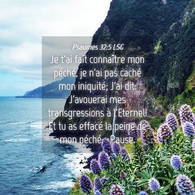 Picture 04 - Psaumes 32:5 LSG - Je t'ai fait connaître mon péché, je n'ai pas - Bible Verse Picture