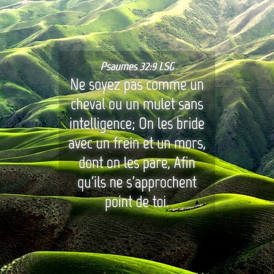 Picture 04 - Psaumes 32:9 LSG - Ne soyez pas comme un cheval ou un mulet sans - Bible Verse Picture