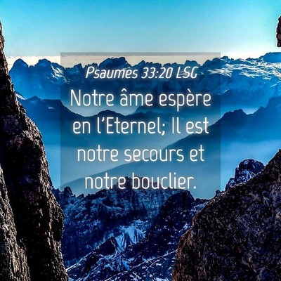 Picture 04 - Psaumes 33:20 LSG - Notre âme espère en l'Eternel; Il est notre - Bible Verse Picture