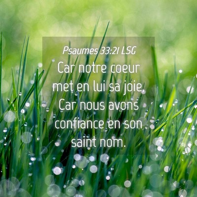 Picture 04 - Psaumes 33:21 LSG - Car notre coeur met en lui sa joie, Car nous - Bible Verse Picture