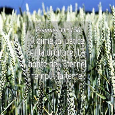 Picture 04 - Psaumes 33:5 LSG - Il aime la justice et la droiture; La bonté de - Bible Verse Picture