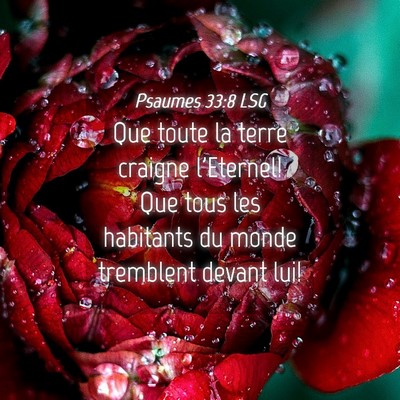 Picture 04 - Psaumes 33:8 LSG - Que toute la terre craigne l'Eternel! Que tous - Bible Verse Picture