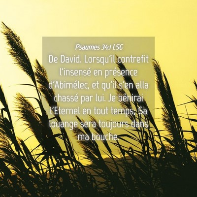 Picture 04 - Psaumes 34:1 LSG - De David. Lorsqu'il contrefit l'insensé en - Bible Verse Picture