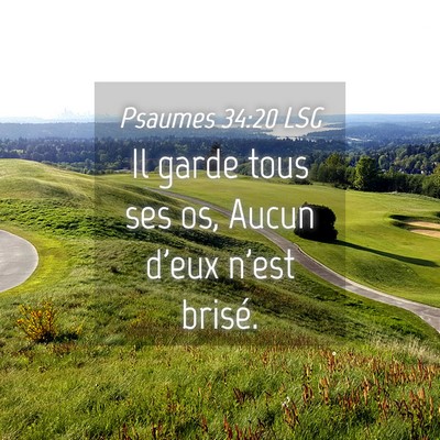 Picture 04 - Psaumes 34:20 LSG - Il garde tous ses os, Aucun d'eux n'est - Bible Verse Picture