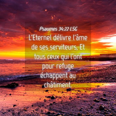 Picture 04 - Psaumes 34:22 LSG - L'Eternel délivre l'âme de ses serviteurs, Et - Bible Verse Picture
