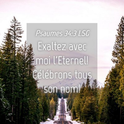 Picture 04 - Psaumes 34:3 LSG - Exaltez avec moi l'Eternel! Célébrons tous son - Bible Verse Picture