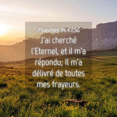 Picture 04 - Psaumes 34:4 LSG - J'ai cherché l'Eternel, et il m'a répondu; Il - Bible Verse Picture