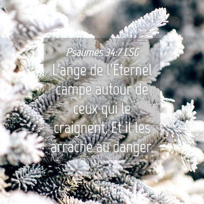 Picture 04 - Psaumes 34:7 LSG - L'ange de l'Eternel campe autour de ceux qui le - Bible Verse Picture