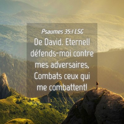 Picture 04 - Psaumes 35:1 LSG - De David. Eternel! défends-moi contre mes - Bible Verse Picture