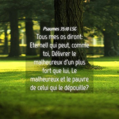 Picture 04 - Psaumes 35:10 LSG - Tous mes os diront: Eternel! qui peut, comme toi, - Bible Verse Picture